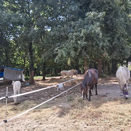 Estilo Americano Con Balcon Apartament Pontevedra