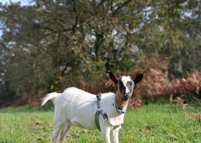 Estilo Americano Con Balcon Pontevedra