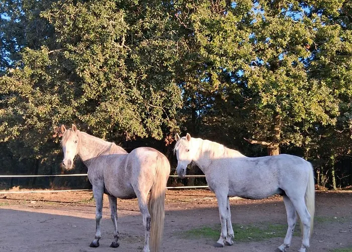 Estilo Americano Con Balcon * Pontevedra