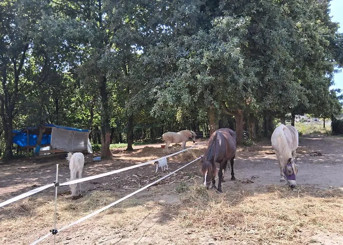 Estilo Americano Con Balcon Apartament Pontevedra